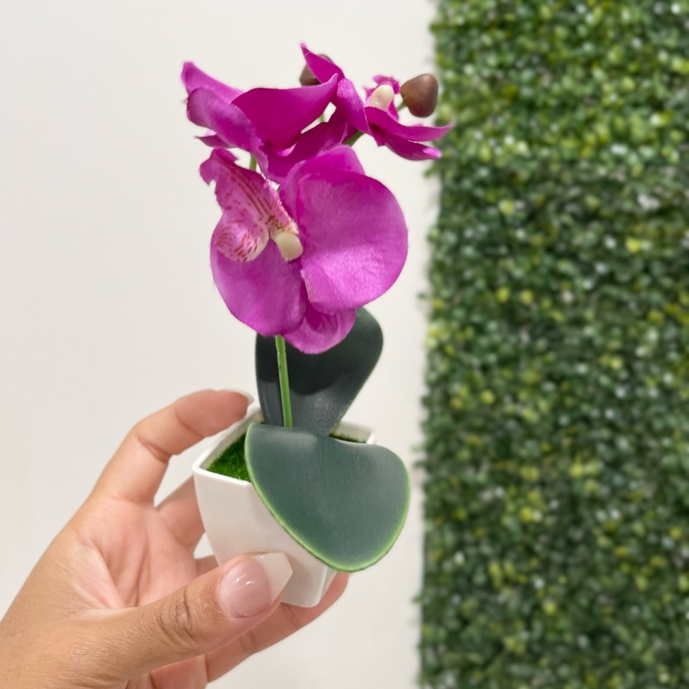 Orchid flower desk decor